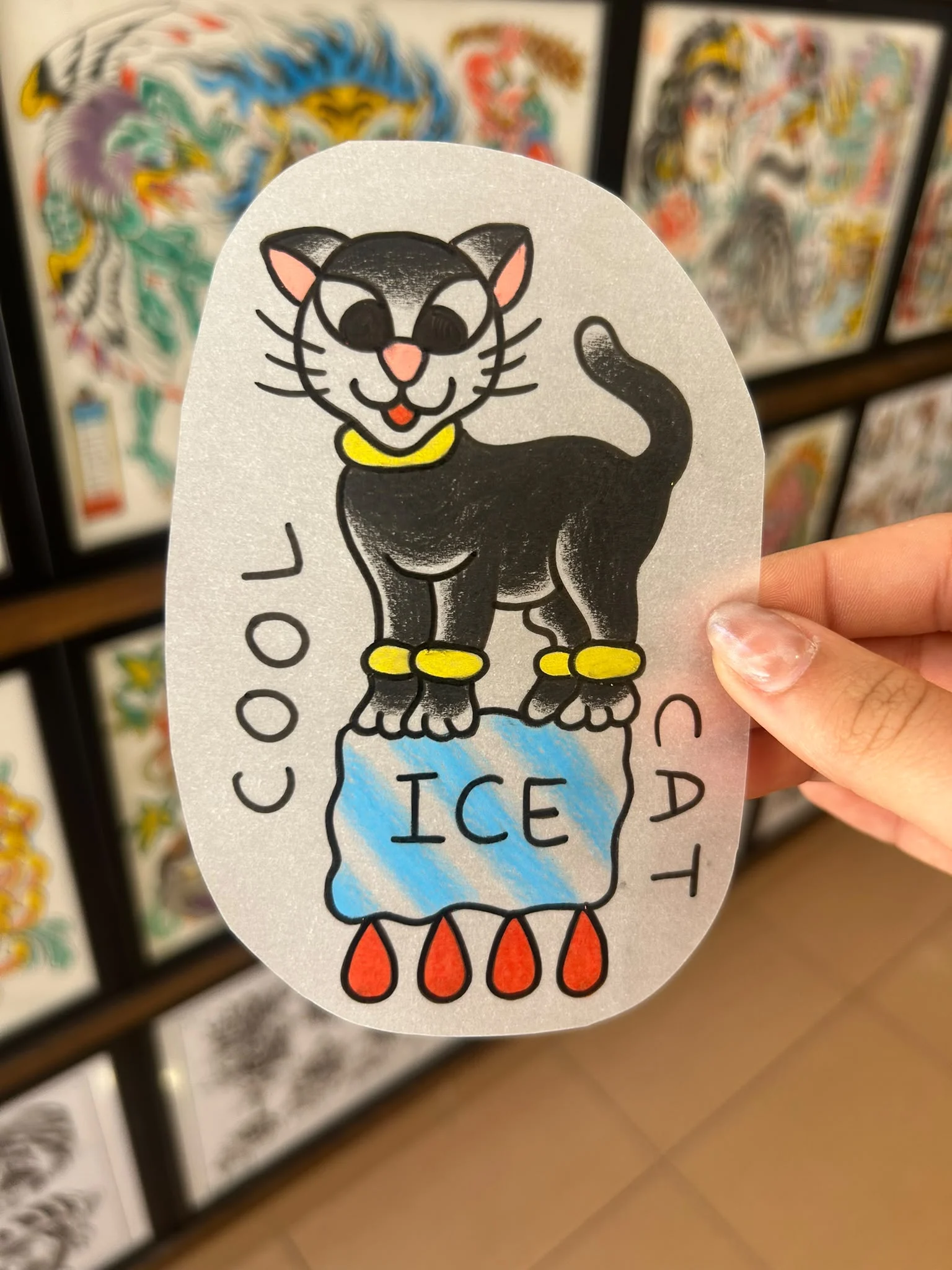 Gato sobre hielo